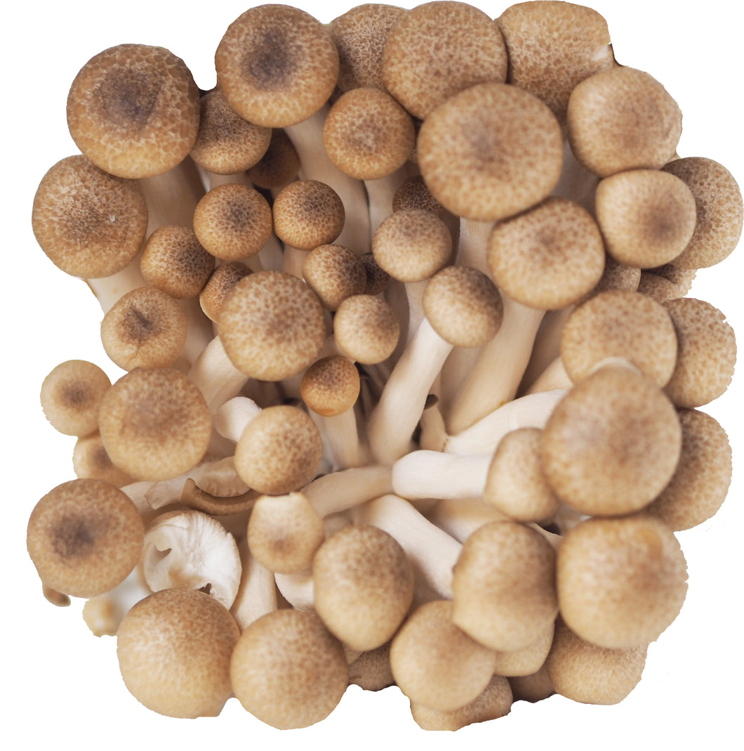Brown Shimeji Mushroom (150g)