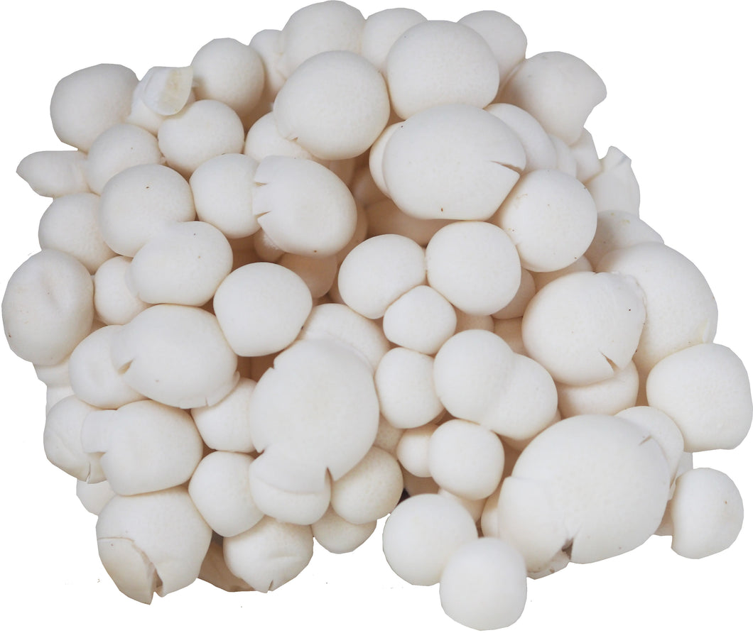 White Shimeji Mushroom (150g)