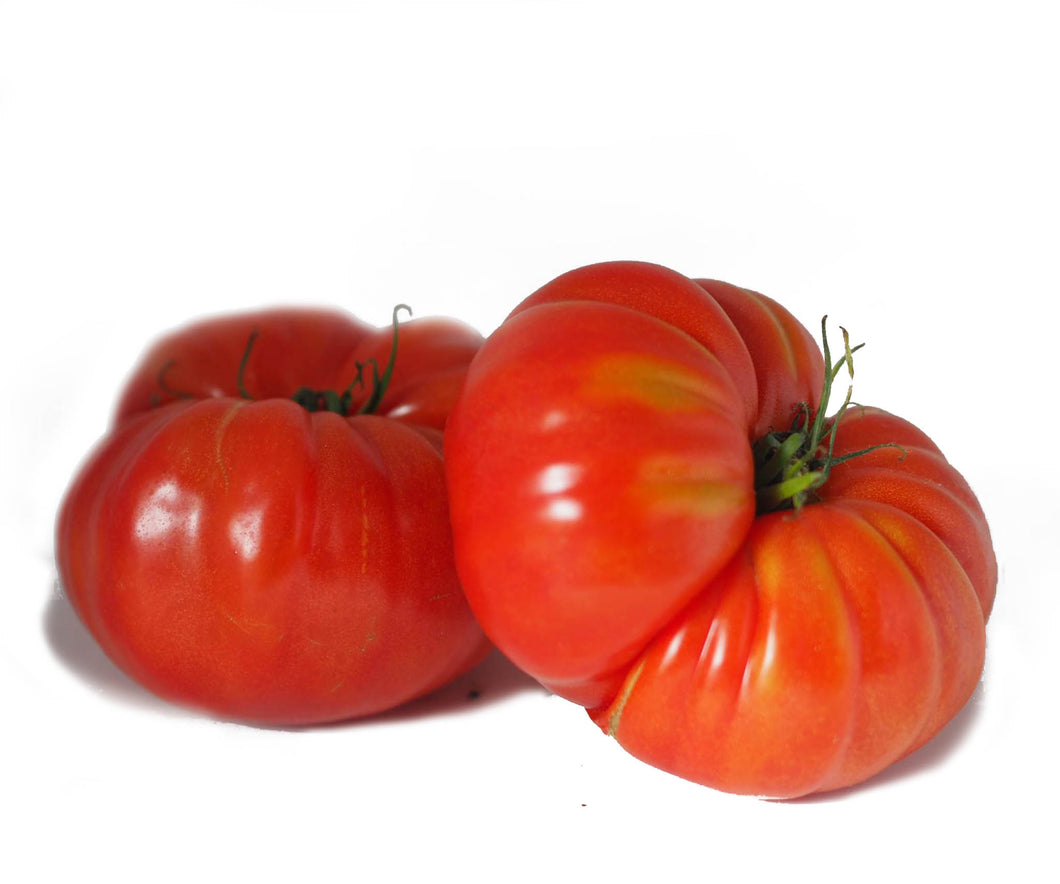 Beef Tomatoes (x2)