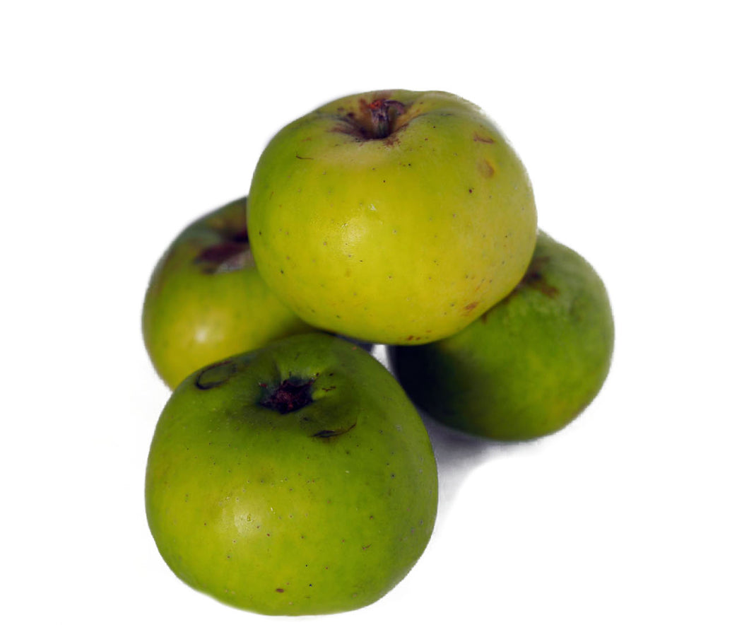 Bramley Apples (1kg)