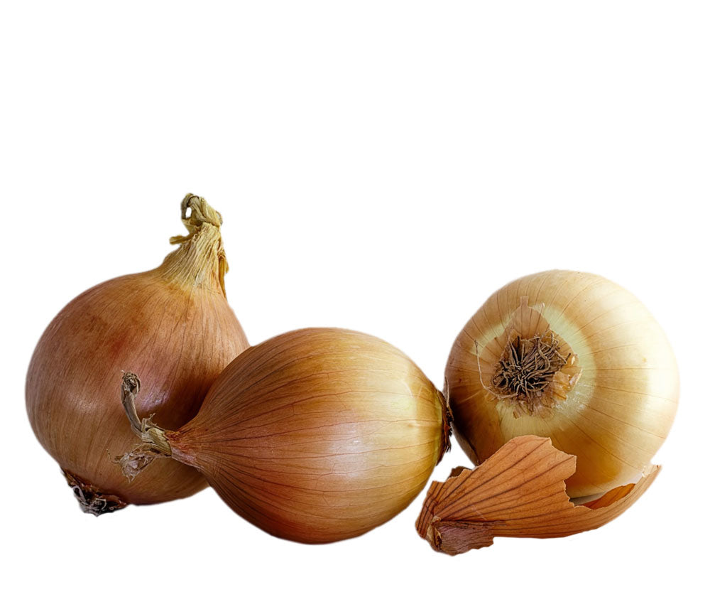 Brown Onions (x3)