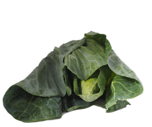 Hispi Cabbage