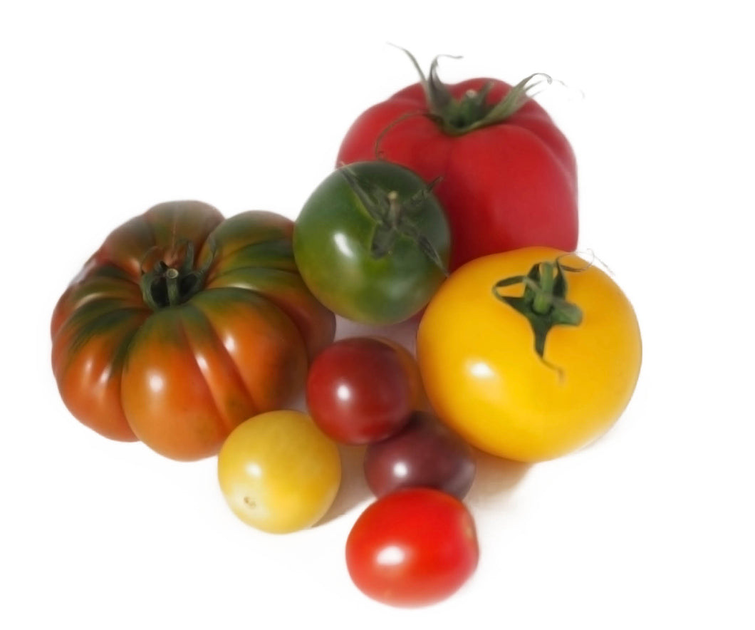 Heirloom Tomatoes (x4)