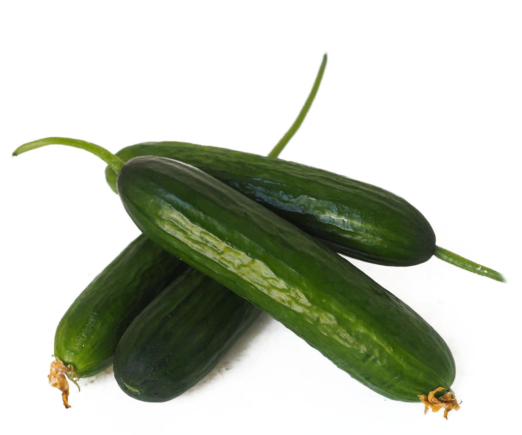 Mini Cucumbers (500g)