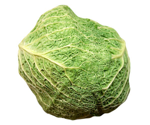 Savoy Cabbage