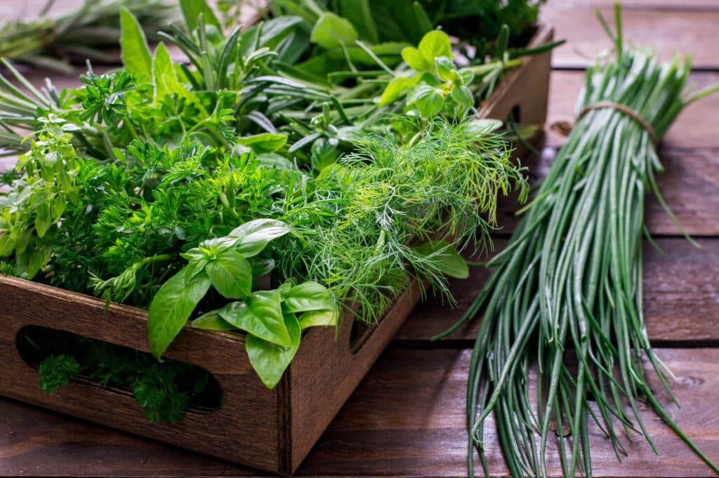 Fresh herbs in wooden box display.