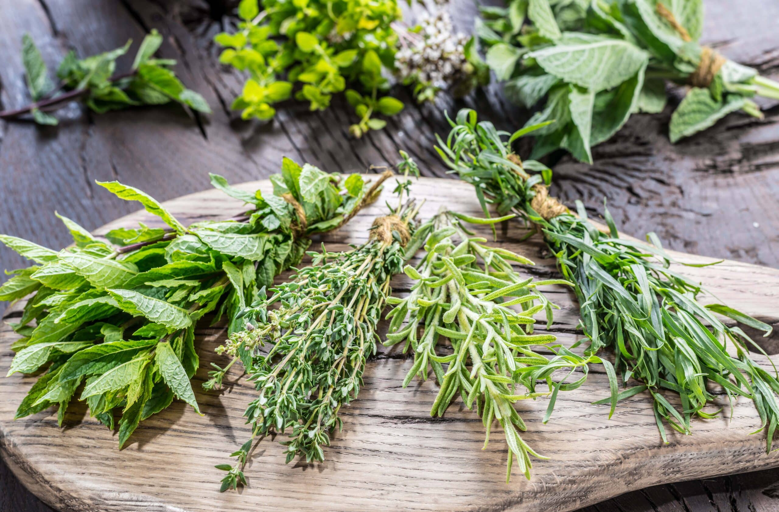 Fresh herbs arranged on wooden board